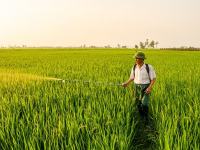 Principi di Agronomia