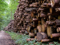 Economia dei Sistemi Agricoli