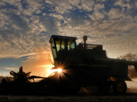 Tecniche innovative in agricoltura