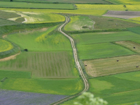 Gestione delle Malattie e delle Erbicidi in Agricoltura di Precisione