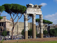 Corso avanzato sul commercio internazionale di prodotti agricoli