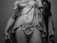 Corso avanzato di tecniche di irrigazione a goccia per l\'agricoltura biologica