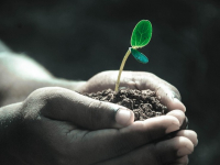 Corso di Fitodepurazione e Gestione dei Rifiuti Organici