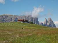 Masterclass sulla tecnica di coltivazione del pomodoro