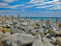 Corso pratico di installazione e manutenzione del sistema di irrigazione a goccia