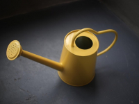 Masterclass di fertirrigazione per agricoltori esperti