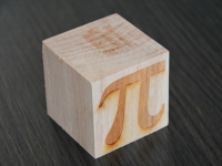 Idroponia Urbana: Coltivare in Spazi Ridotti