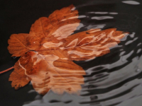 Utilizzo efficiente delle risorse idriche