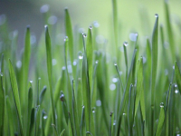 Strategie di approvvigionamento idrico