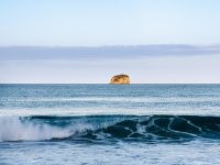 Principi fondamentali della sostenibilità ambientale in agricoltura