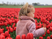 Corso di orticoltura urbana