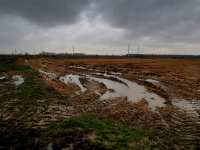 Corso Pratico di Agricoltura Biologica in Giardino