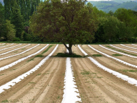 Corso di Introduzione all\'Agroecologia