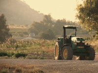 Masterclass sulle piante aromatiche
