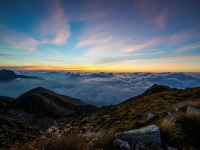 Introduzione alla Zootecnia di Base