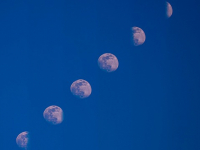 Google Ads per Imprenditori: Come Ottimizzare le Pubblicità Online