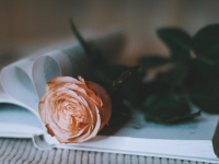 Corso pratico di ottimizzazione del pricing