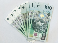 Investimenti 101: Fondamenti della Finanza