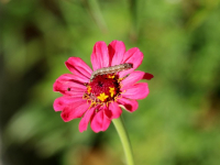 Investire per Principianti: Guida alla crescita del tuo denaro