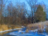 Gestione del debito: Come liberarti dai debiti e mantenere un buon credito