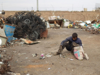 Project Management for Agile Teams