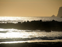 Mindset Imprenditoriale: Come sviluppare una mentalità vincente