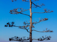 Mindset Imprenditoriale per il successo: Strategie pratiche per l\'imprenditore moderno