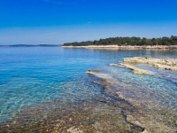 Mindset Imprenditoriale 4.0: Adattarsi al cambiamento nel mondo digitale