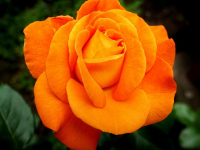 Gestione del Tempo ed Organizzazione per Imprenditori