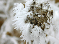 Emprendimiento Digital: Claves para el Éxito en la Era Tecnológica