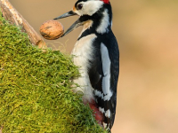 Gestión Financiera para No Contadores