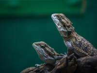 Aspectos básicos de la Contabilidad para No Contadores