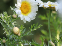 Liderazgo Efectivo en el Entorno Laboral