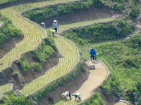 Gestión del Talento y Desarrollo de Equipos