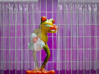 Ciberseguridad Básica: Protege tus datos personales en línea