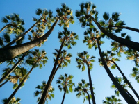 Gestión del tiempo en el teletrabajo: Estrategias para mantener la productividad y el equilibrio