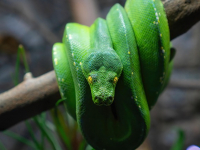 Introducción a la Programación en Python