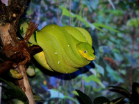 Análisis de Datos con Python