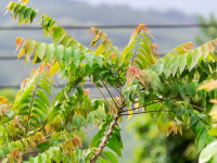 Introducción a DevOps