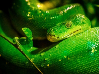 Visualización Avanzada de Datos con Python