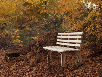 Curso de SQL para Empresas