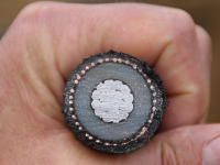 MongoDB Atlas: Gestión de bases de datos en la nube