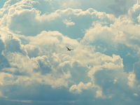 Introducción a Google Cloud Platform