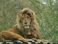 Introducción a Big Data con Hadoop y Spark