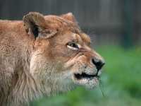 Análisis de datos con Hadoop y Spark