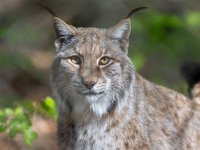 Streaming de datos con Hadoop y Spark