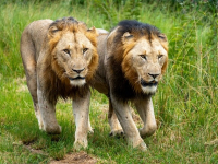 Seguridad en Big Data con Hadoop y Spark