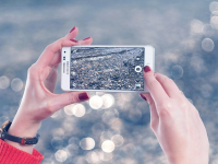 Conexión a Bases de Datos en C#