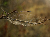 Optimización de Imágenes para Web Responsiva