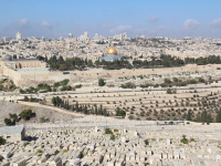 Programación de Videojuegos en Unity